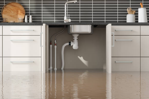 Professional Water damage restoration in Hermitage, PA